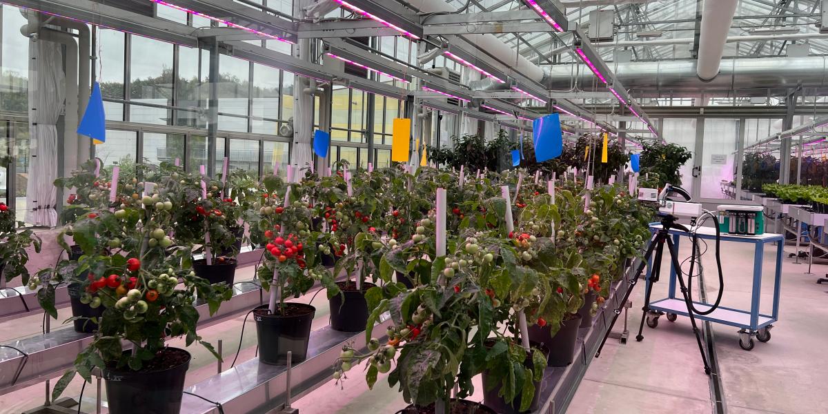 Ecco dove nascono i biostimolanti del futuro